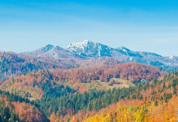 Planina Risnjak