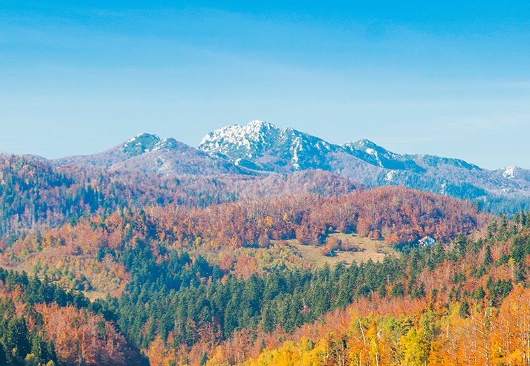 Planina Risnjak