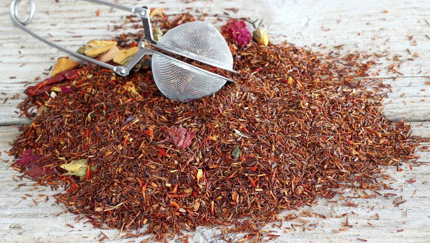 Rooibos kralj ljekovitog bilja