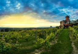 izletnička destinacija, bjelovarsko-bilogorski kraj, zelena oaza