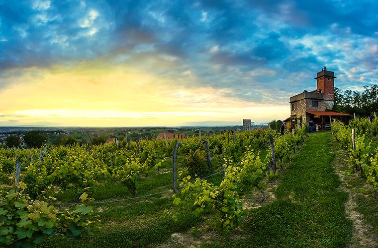 izletnička destinacija, bjelovarsko-bilogorski kraj, zelena oaza