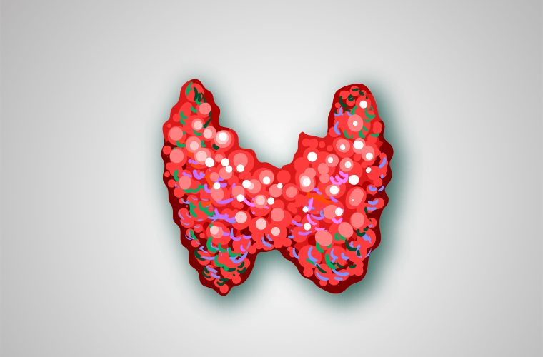 bolesti štitnjače, zlijezda, stitnjaca, tireotoksikoza, hipotireoza