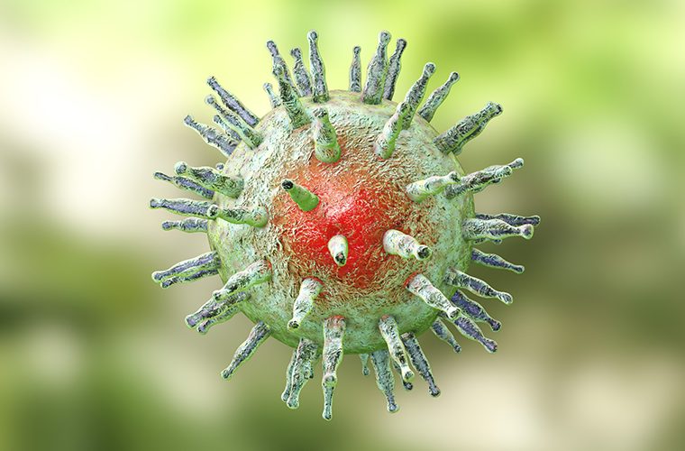 Epstein-Barr virus EBV infektivna mononukleoza