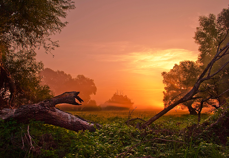 Baranja