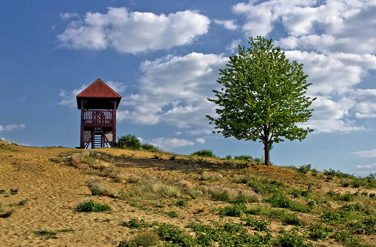 Podravina Durdevac pustinja Durdevacki pijesci