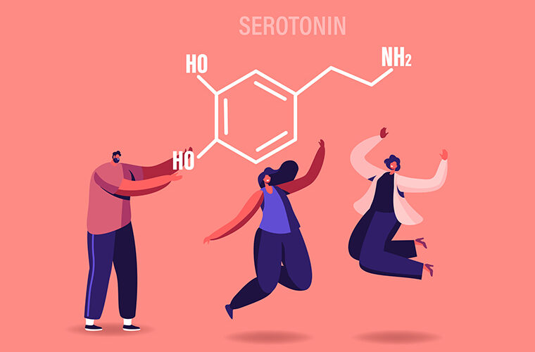 hormoni serotonin dopamin sreca mozak